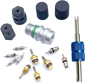 Aracey 735071429411 Air Conditioning Valve Core Kit Cap And & A/c System Seal