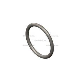 Cummins 4027689 Seal Ring / Washer For