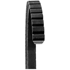 15595 Dayco Fan Belts