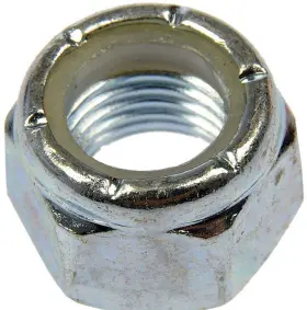 251-013 Dorman/autograde Nut