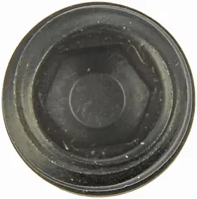 375-043 Dorman - Autograde