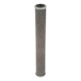 252-00220 Everpure Cto-20