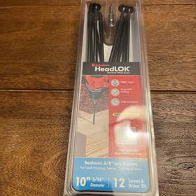 Fastenmaster Fmhlgmtt010-12 Headlok 10 Inch