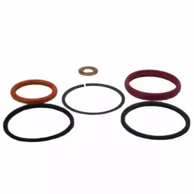 Xc3z-9229-ab Ford Genuine Fuel Injector O-ring Kit