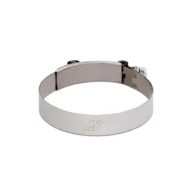 Mishimoto 811580032448 Mmclamp-4 Mm T-bolt Clamps