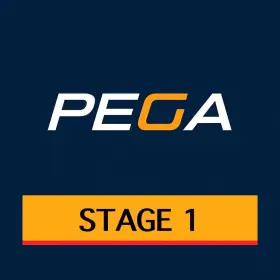 222277 Pega Clutch Ferrari 599 Gtb Fiorano Rebuild Service Pn F141