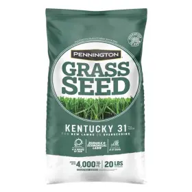 100543701 Pennington Grass Seed Ky31 Tf 20#