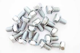 Pioneer 859034 Engine Bolt Kit