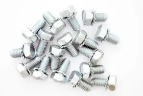 859034 Pioneer Engine Bolt Kit