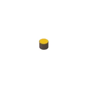 800-mg-sm-025 Racepak Rpm Sensor Magnet Small 0.25 In Diameter Part