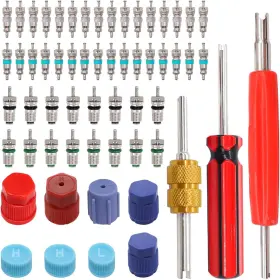 F-092 Taiss 59pcs Air Conditioning Valve Core Accessories Kit R12 R134a