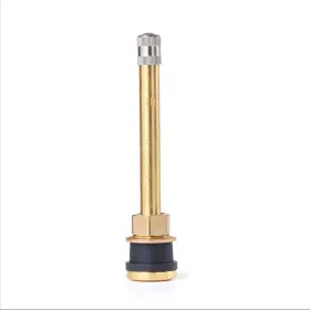 Tr571 Tire Mechanics Resource 49b New Brass Truck Valve Pack Of 10