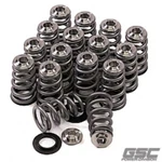 Gsc 5073 High Pressure Conical Spring Set Titanium Retainer Chromoly Seat New. Price: $529.06.