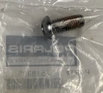 Polaris Engineered Screw-torx 7518305 New. Price: $8.10.