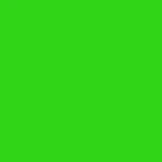 Solid Color Neon Brights Green Vinyl Contact Paper Drawer Liner Peel & Stick New. Price: $15.99.