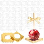 200 Pcs Candy With Hole Top Gold Base Clear Pet Caramel Apples Gift Box... New. Price: $71.59.