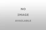 Dorman 85770 Black For 12 Gauge Wire - 100 Feet New. Price: $53.99.