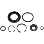 Dorman D670181 Disc Brake Caliper Rer Kit For Pai New. Price: $33.36.