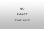 Dorman 951 152 Hammer Handle 36 New. Price: $104.83.