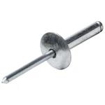 Lg Hd Rivet Silver 250PK Allstar Performance ALL18030 New. Price: $21.60.