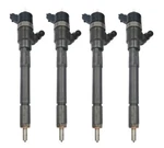4 Diesel Fuel Injectors For Hyundai Santa Fe Slx Crdi Elite Cm 2006-09 2.2L Brand. Price: $1140.31.