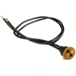 Electrical Pigtail Wve 1P1128 New. Price: $32.48.