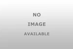 Speedfx 8730 Gallon Utility Jug Red New. Price: $40.39.