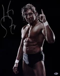Kenny Omega Signed 16X20 Photo Bas Coa New Japan Pro Wrestling Aew Roh Auto'd. Price: $99.99.