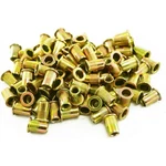Astro Pneumatic RN6M Steel Rivet Nuts, M6 Size, 6MM Thread, 100-PIECE Pack New. Price: $18.51.