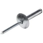 Allstar Performance ALL18030 New. Price: $36.99.