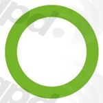 Global Parts Distributors Llc 1311411 Ring New. Price: $5.56.