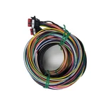 Racepak 580-CA-HARNST Street Smartwire Harness New. Price: $562.95.