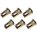 Dorman 963-254D Rivet Nut M6 New. Price: $23.38.
