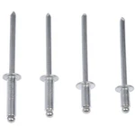 Dorman 961-025 Rivet Aluminum 5/32 In. Assortment New. Price: $29.40.