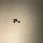 Oem Samsung Dryer Hex Screw 6009-001522, From New DVG45R6100W.. Price: $7.50.