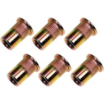 Dorman 963-252D Rivet Nut 5/16 18 New. Price: $23.37.