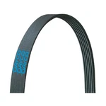 Dayco 5100660 Poly Rib Belt, New. Price: $84.03.