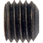 Dorman 380-032 Set Screw Grade 5/16 24 In. X 1/4 New. Price: $41.99.